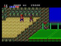 Double Dragon sur Sega Master System